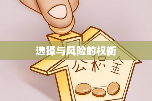 安福选择与风险的权衡