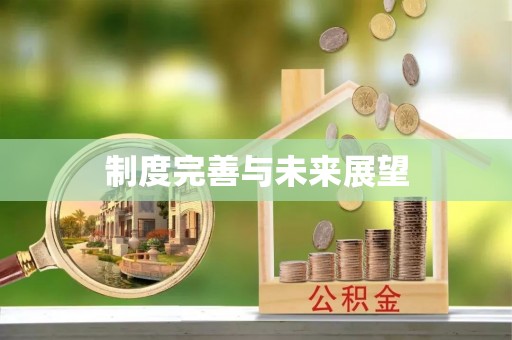 安福制度完善与未来展望